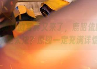 六二二同学的写真又来了，鹿昭依的气息是不是太浓？原图一定充满详情！