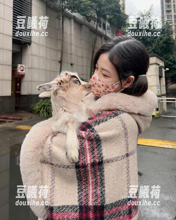 妮是老虎 微密圈 - 原图来啦!妮是老虎的蓝蕾丝黑丁字,哎呀,我的眼睛!