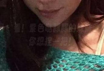微密圈 - 看！紫色哒豚豚的妹妹，高清到你想捏一把！